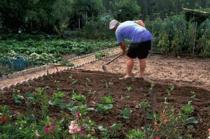 entretenir son jardin pas cher