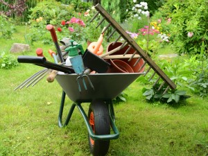 trucs-et-astuces-pour-entretenir-son-jardin